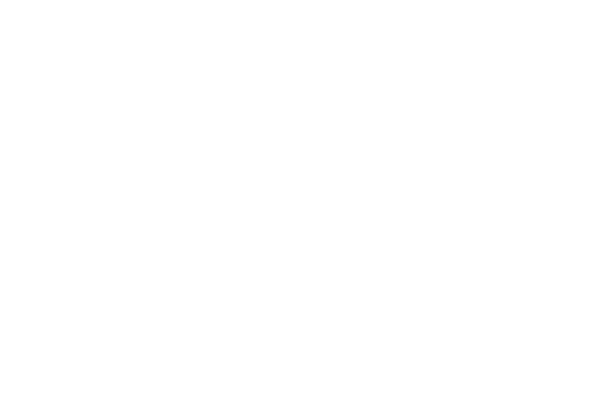 Sky Mobile